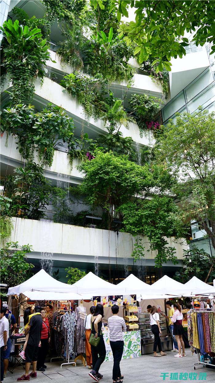 垂直空间利用：从单层建筑到多层结构的转变 (垂直空间利用率)