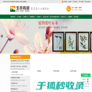 河南有道展览,腊叶标本制作,中药动植物标本馆设计,生命科学馆建设